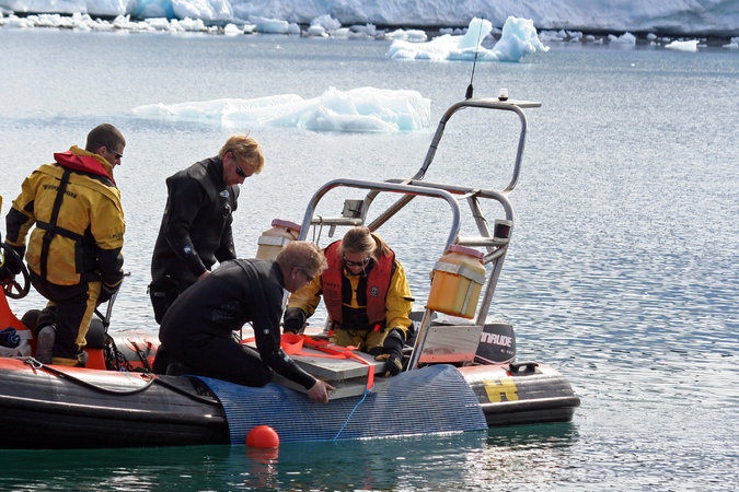 南极海洋气候变暖,南极气温变暖会有什么后果
