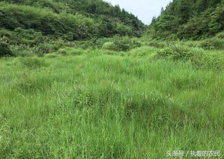 农村山里大叔一个月挣多少钱,农村大叔靠手艺赚钱