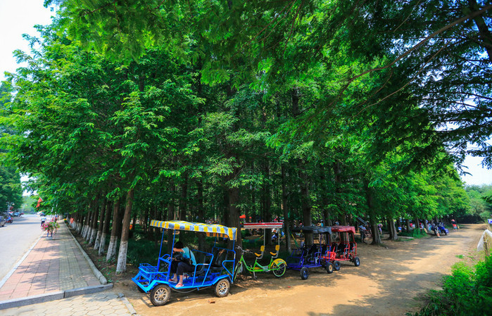 日照海捕海鲜有哪些,日照赶海后抓到的海鲜去哪儿吃