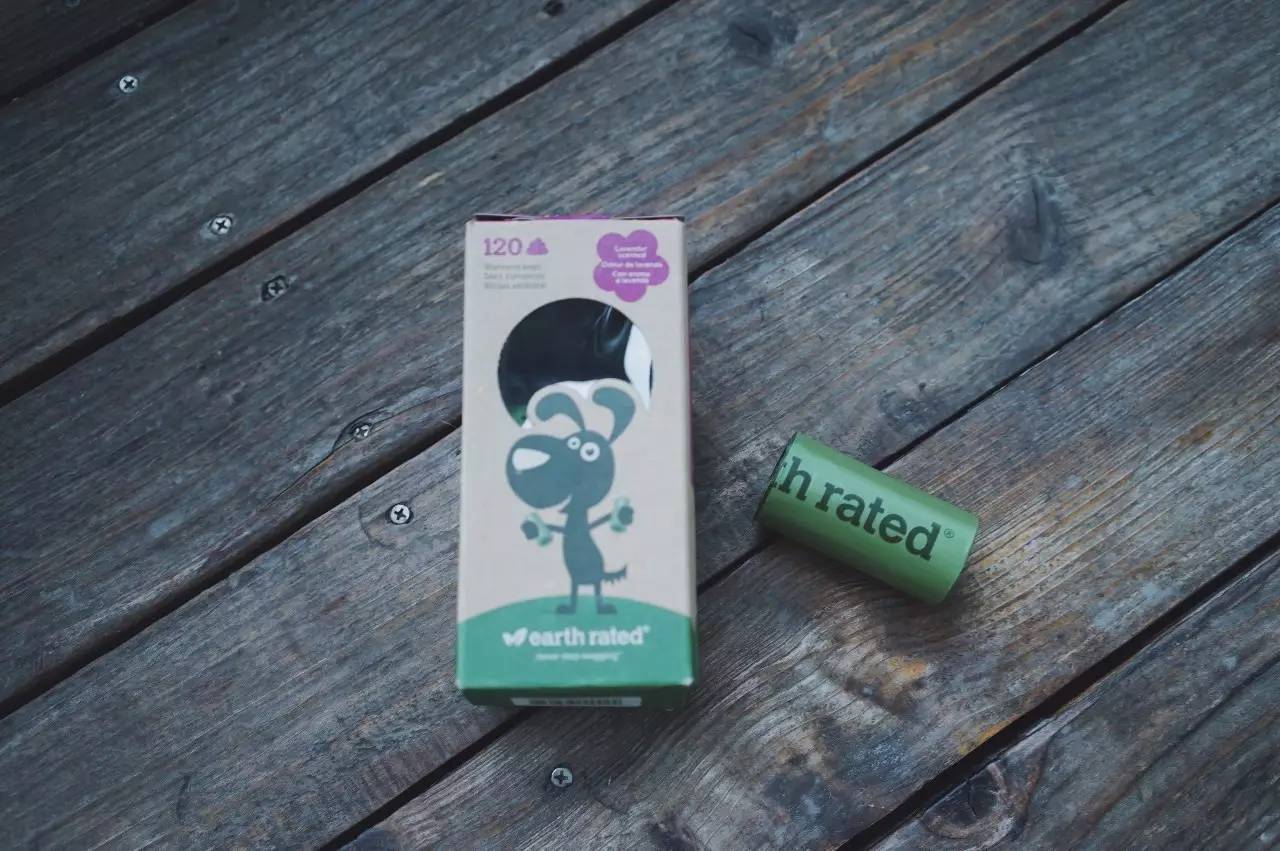 玩物不丧志视频,玩物不丧志珠宝