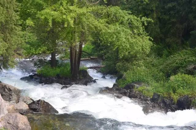 带着老伴穷游,60大叔自驾房车带老伴环游中国