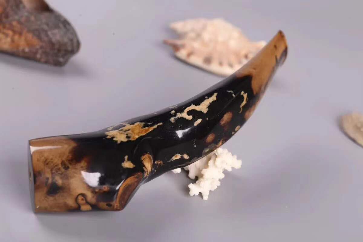 比起珠光宝气的华而不实，献身制成烟嘴的海柳可谓功德无量！