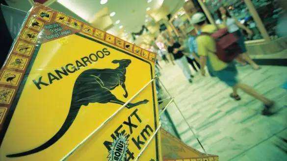 澳洲除了奶粉还有什么好的东西,除了奶粉成人还有什么营养品