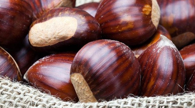 十大养肾粥,冬季10款滋补养生粥补肾益肝