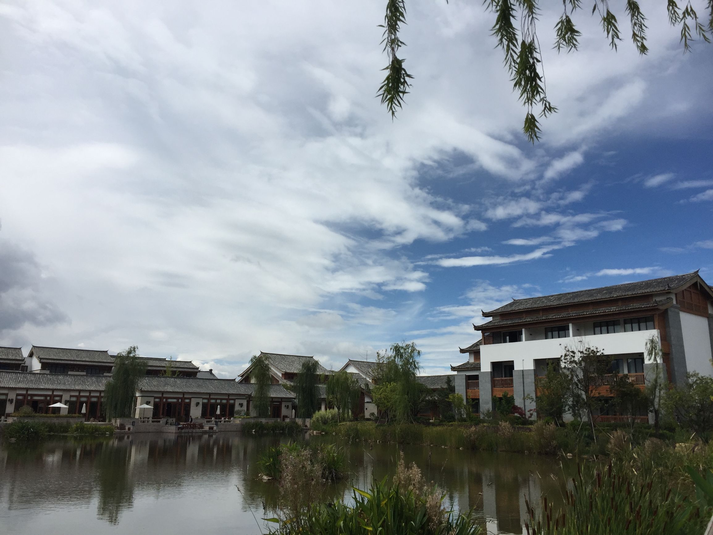 这个国庆长假，难忘大理洱海小岛上那个农家小倌的炖鸡汤