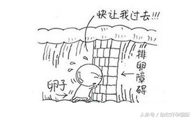 多囊排卵障碍怎么治疗,排卵功能障碍病因