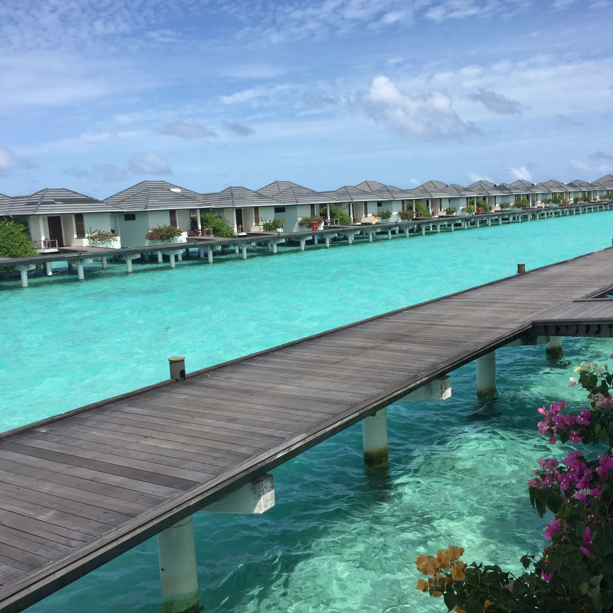 蜜月岛马尔代夫好玩吗,适合度蜜月的马尔代夫岛