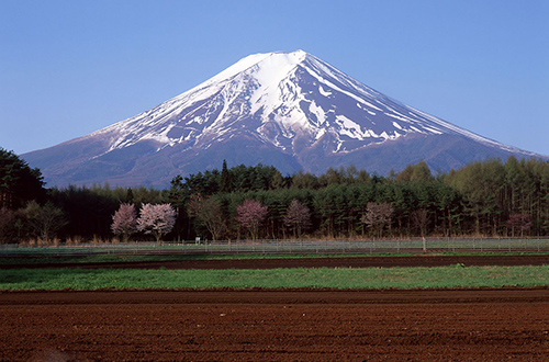 上半年出境游,中国国内旅游和出境旅游