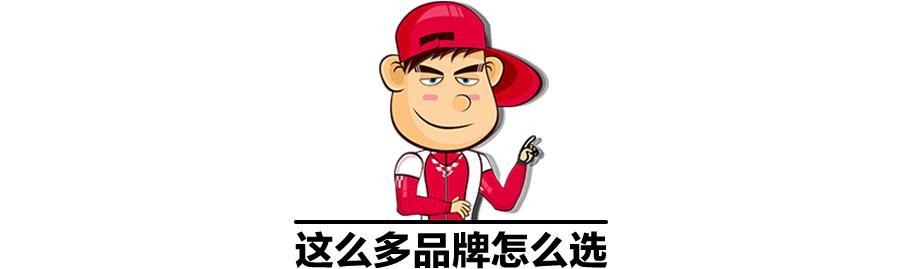 汽油添加剂怎么推荐,如何选择汽油的方法