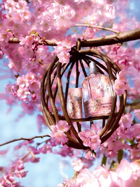 快速提升颜值的平价好物都在这,有哪些让你吹爆的高颜值好物