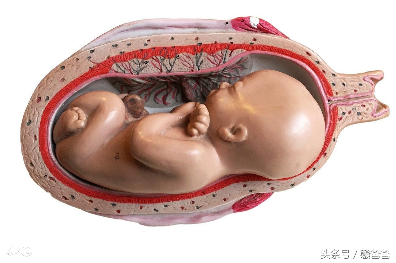 孕期必读:分娩后半小时,胎盘还没有娩出该怎么办?