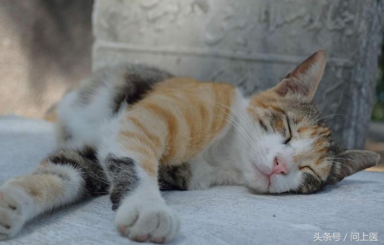 痛经该怎么办？看美国家庭医生推荐的13个好办法