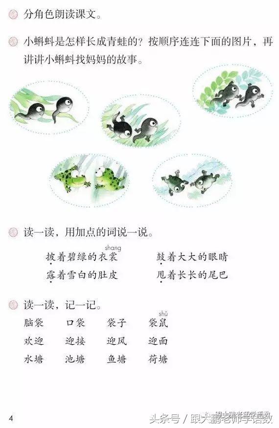 小蝌蚪找妈妈故事音频,部编二年级小蝌蚪找妈妈课文