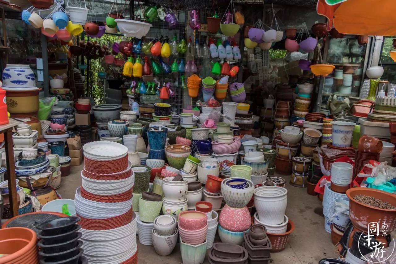 南京的花鸟市场在什么地方,南京夫子庙花鸟鱼虫市场