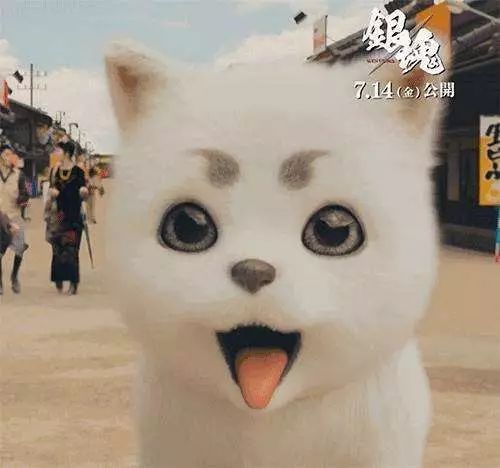 银魂真人版零基础能看吗,银魂真人版日常篇