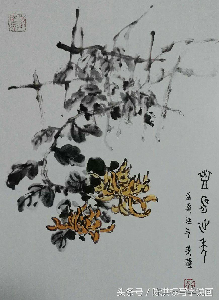 国画水墨菊花的画法和步骤,名家画菊花的技法