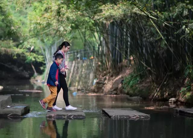 不愧为中山的生态保护区,镜头下的五桂山竟然这么美