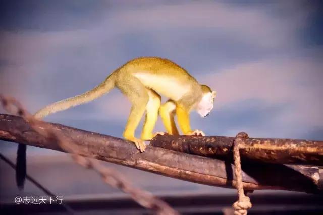 三亚合适小朋友玩的景区,三亚儿童旅游