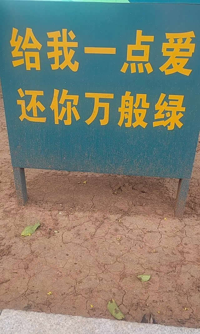 段子十则四十二期,段子十则第十二集