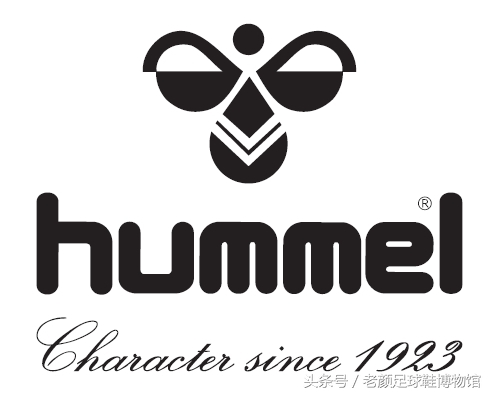 专业的足球鞋有哪几个品牌,曾经的足球鞋知名品牌有哪些