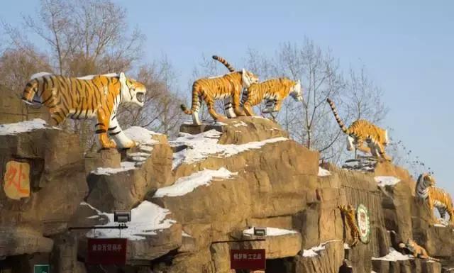 初冬掠影,哈尔滨的冬日魅力