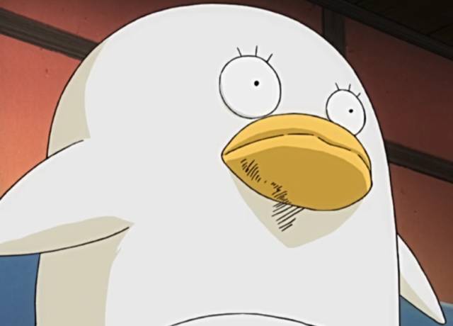 银魂真人版零基础能看吗,银魂真人版日常篇