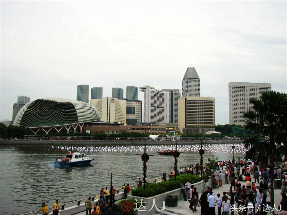 达人J：新马声色任逍遥