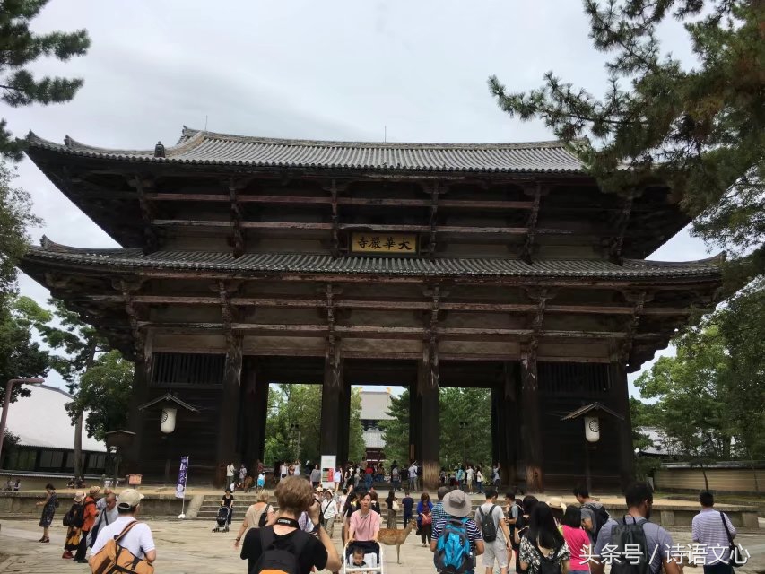 暑假带娃去部队看亲人,带娃去拉练