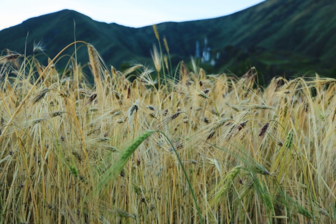 佳能单反怎么验机,佳能R50海外版如何验机