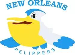 火箭队宝可梦logo,nba球队logo大全