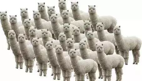 针灸对孩子有影响吗,针灸对孩子智力有帮助吗