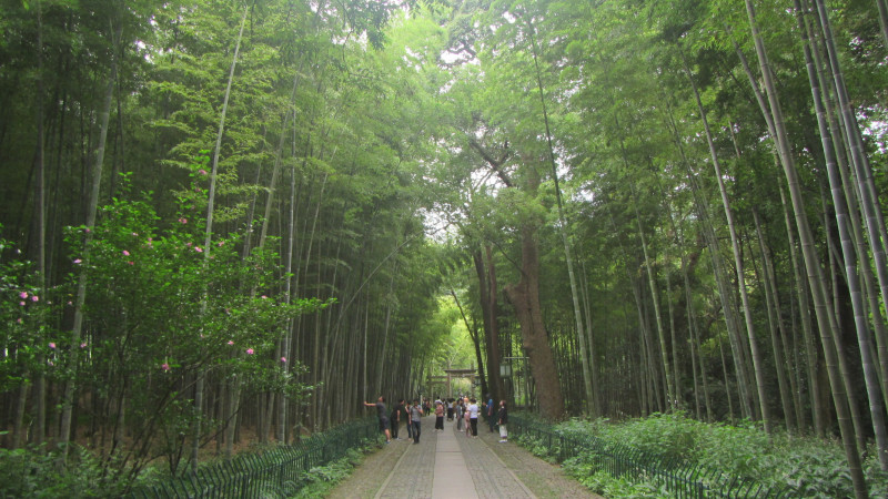 苏州西塘乌镇二日游团从杭州出发,苏州西塘乌镇二日一夜