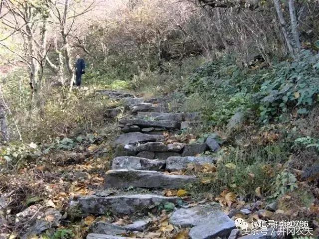 鹅岭瞰胜楼历史,鹅岭茶叶