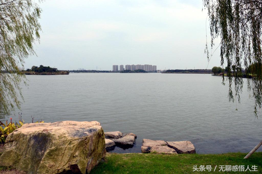 2022百强县gdp排名太仓,太仓为何跌出百强县前十