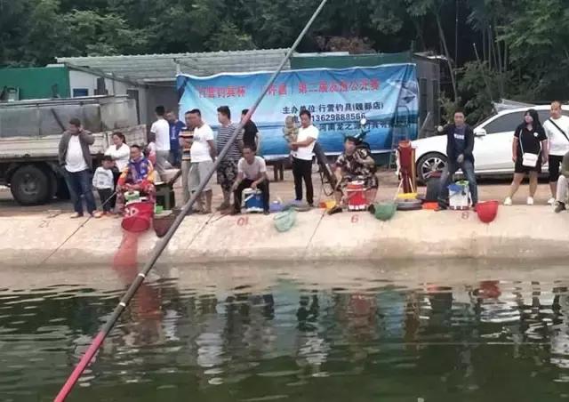 行营钓鱼比赛现场直播,行营钓鱼节