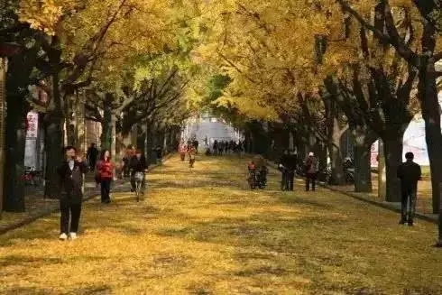 夏季沈阳周边自驾游路线推荐,沈阳周边30个最佳自驾好去处