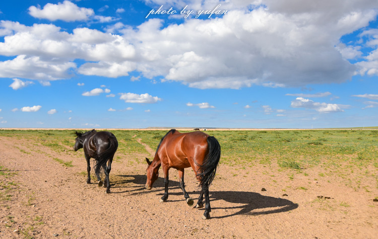五一锡林郭勒游玩,几月份游锡林郭勒适合