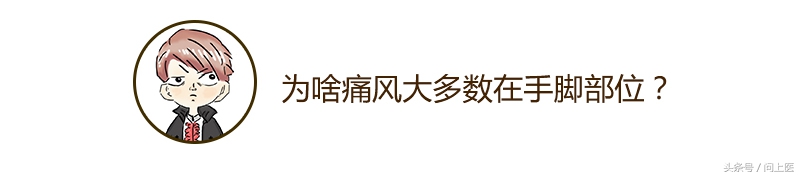 为什么痛风都在脚趾头,痛风形成过程漫画