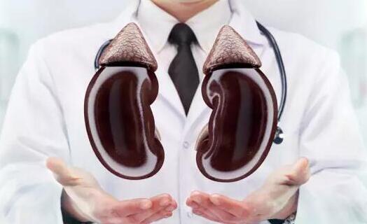 巧食蛋白保肾功?之慢性肾脏病的营养治疗法