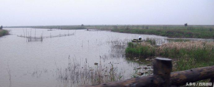浙江玉环漩门湾国家湿地公园灯光,浙江玉环漩门湾湿地公园拍鸟
