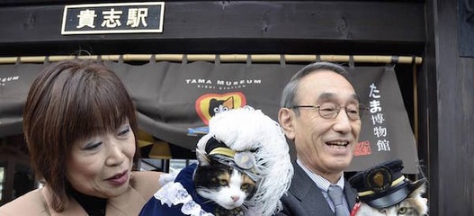 小米mix2尊享版标准版,小米mix2尊享版有限量版吗