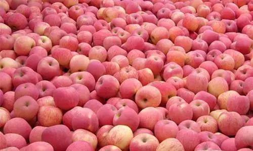 农产品品牌命名,如何推广农产品的品牌文化