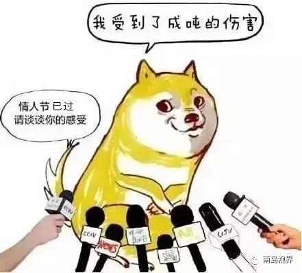 为什么工作后不想结婚了,不想结婚的理由