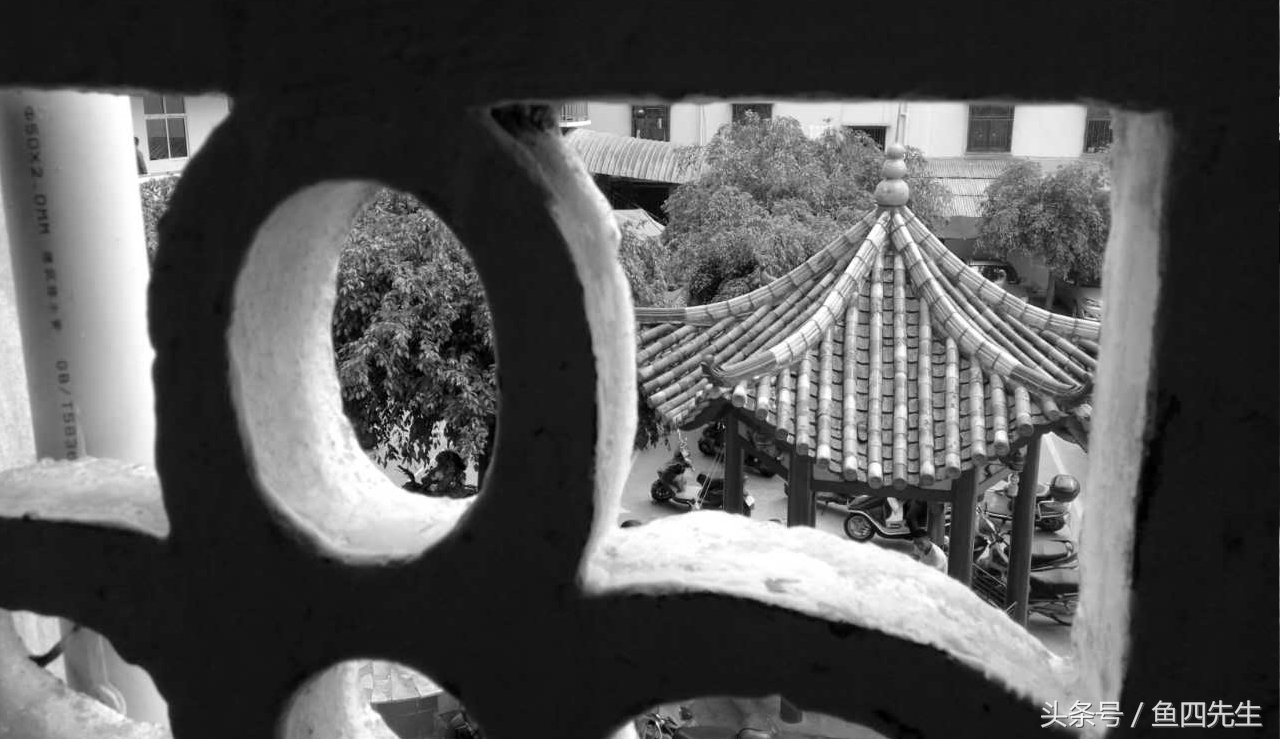 鐟炰附鍙嬭皧鏃呯ぞ,鐟炰附鍙嬭皧瀹鹃