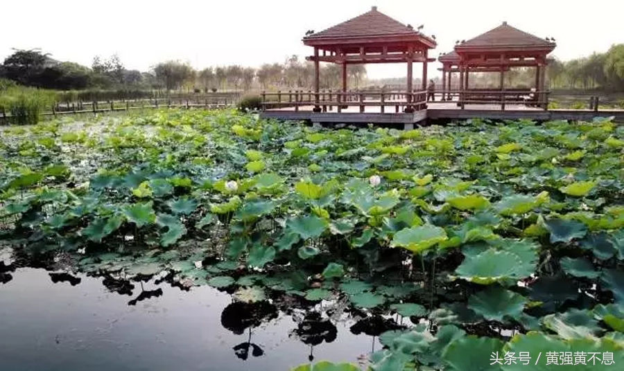 留住文化的美,留住文化的根与魂