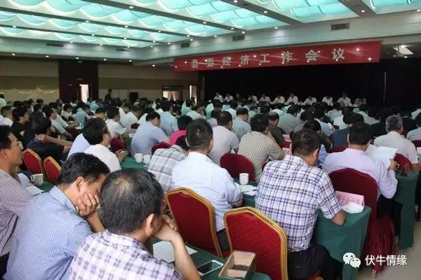 内乡县经济高质量发展的先行者,内乡2023经济发展状况怎样