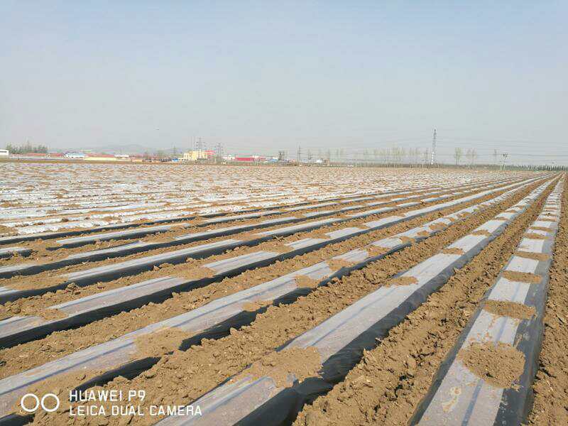 清田全生物可降解地膜,清田地膜