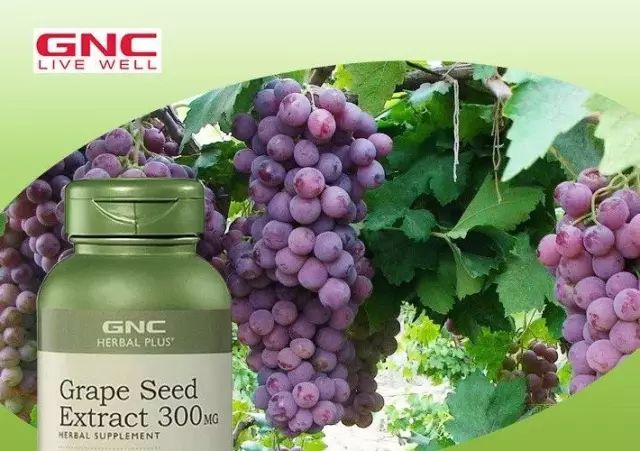 种草机必备什么工具,种草机德国