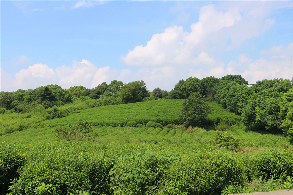 嘉兴南北湖农家乐推荐,嘉兴南北湖农家
