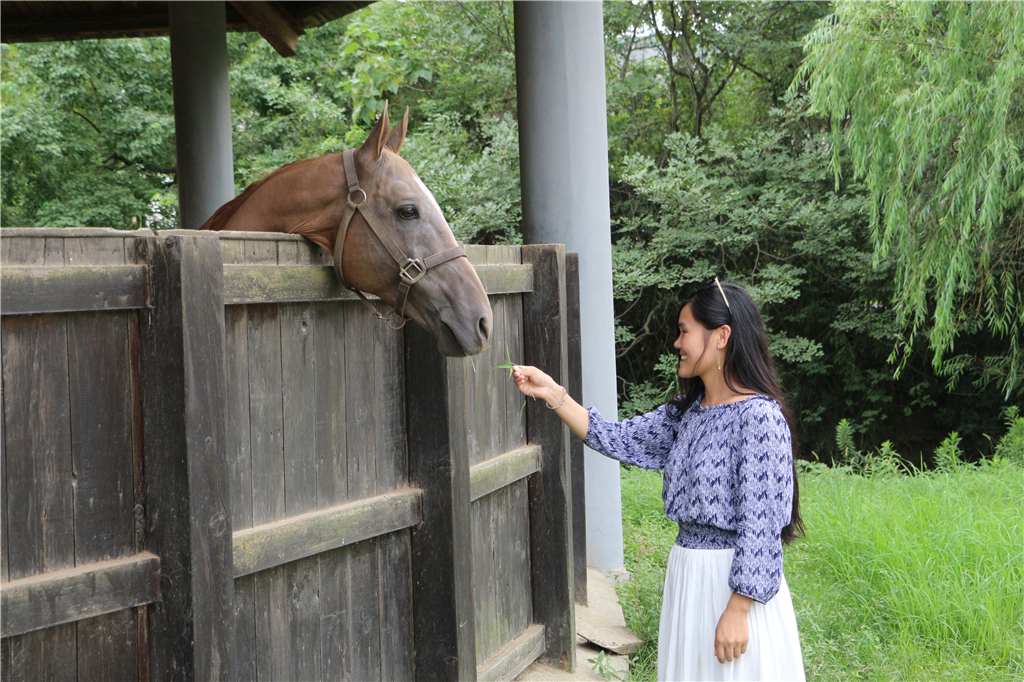 嘉兴南北湖农家乐推荐,嘉兴南北湖农家